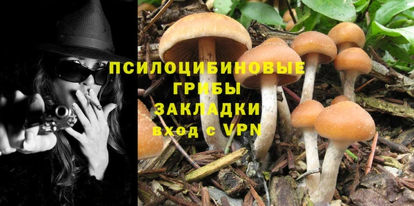 Альфа ПВП Арсеньев