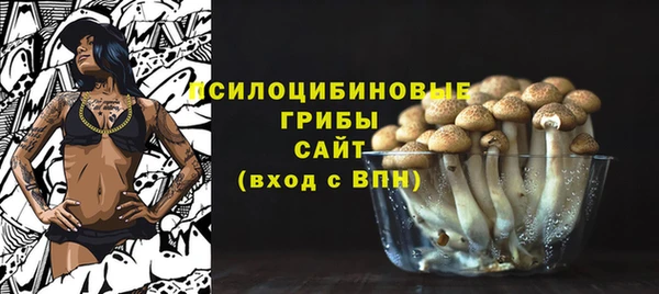 Альфа ПВП Арсеньев