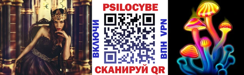 купить   Навашино  Псилоцибиновые грибы MAGIC MUSHROOMS 